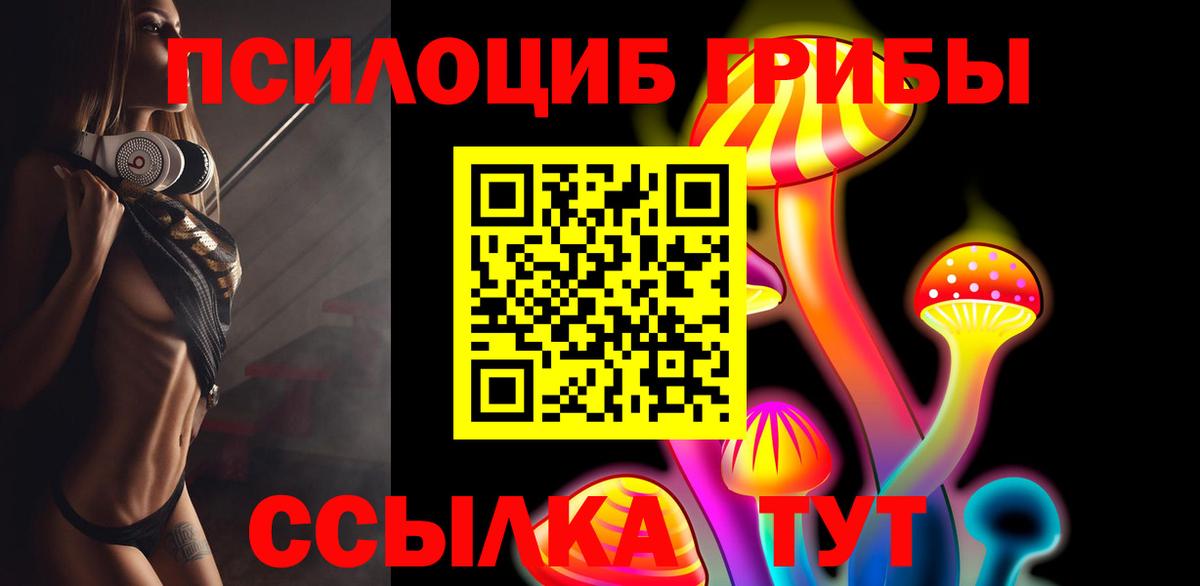 наркотики  Вход с VPN  Гагарин  Псилоцибиновые грибы GOLDEN TEACHER 